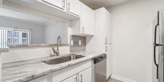 Derby at Steeplechase Gallery 43