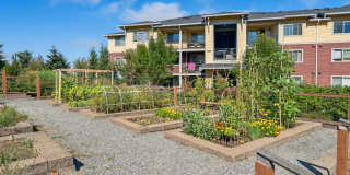 Vue Issaquah Gallery 51