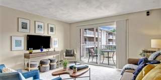 ReNew Waltham Gallery 2