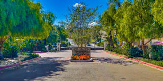 Beautiful 4 bedroom, 4.5 bathroom Home in the Varadero Community Gallery 91