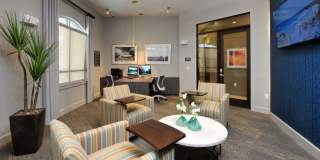 Harmony Park Gallery 5