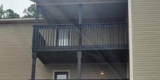 Timber Woods Gallery 13