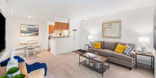 Ashley Park Apartments Gallery 2