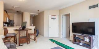 222 N. Columbus, Unit 1906, Chicago, IL 60601 Gallery 3