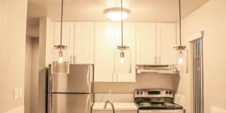 The Peacock Gallery 1