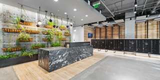 Collection 14 Gallery 20