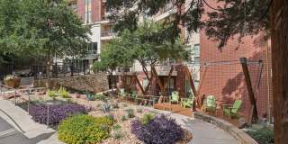 The Arcadian Gallery 52