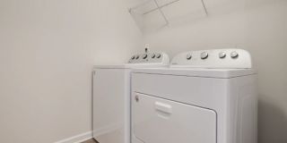 Poplin Trace Gallery 15