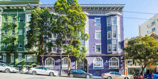 1035 SUTTER 1035 SUTTER Gallery 1