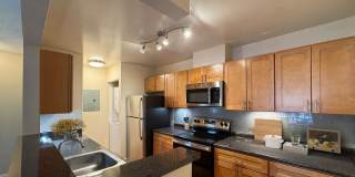 Katahdin Woods Gallery 18