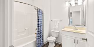 Olympus Carrington Gallery 12