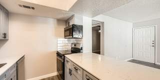 Rise Spring Pointe Gallery 59