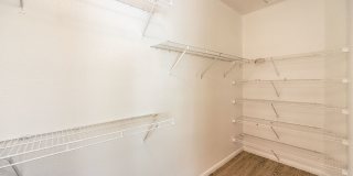 single story / 3 car garage / 3 bedrooms / 3 baths Gallery 21