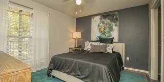 Oak Forest Gallery 29