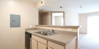 Sharon Glen Gallery 6