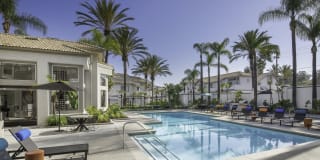 Las Palmas Gallery 2