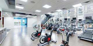 Fiori on Vitruvian Park Gallery 4