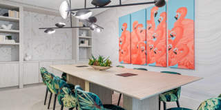 Tortoise One Gallery 56