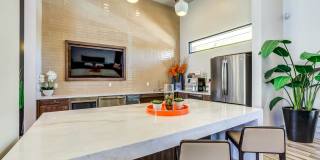 Velaire at Aspera Gallery 8