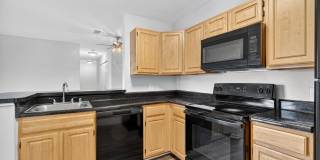 The Cloisters Gallery 24