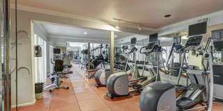 Creole on Yorktown Gallery 16