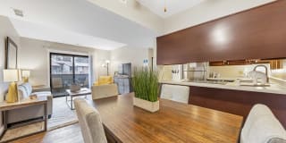 Whisper Hollow Gallery 6