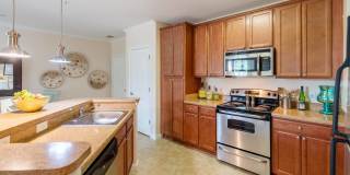 River House Apartments Gallery 31