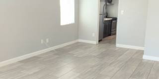 PEC1199 Gallery 3