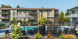 Terra Apartments Gallery 14