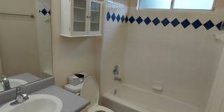 1308 Fern Hill Court Gallery 19