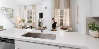 Resort at the Lakes Gallery 15