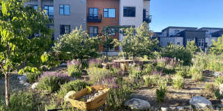 Enso Zen Apartments Gallery 60