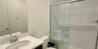 9643 Babaco Gallery 7