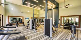 The Views at Harbortown Gallery 27