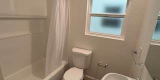 Kensington Garden Gallery 6