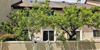 94 TENNYSON Drive Gallery 17