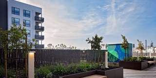 The Launch Gallery 31