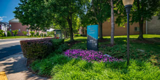 Spring Ridge Apartments Gallery 6