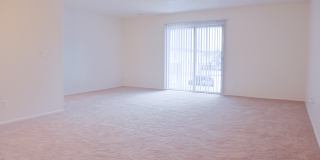 Ambassador Arms Gallery 18