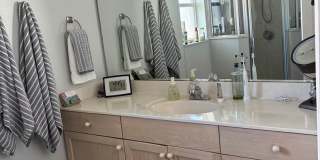 Discover this well-located 3-bedroom, 2-bath home in Palm Coast! Gallery 14