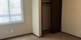 Pine Tree Flats Gallery 36