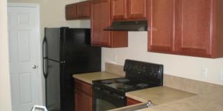 338 PECAN GROVE Drive Gallery 17