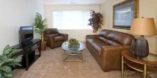 Austin Park Gallery 4