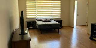 3 Bedrooms One Floor Ranch House with 2 car attached garage in Lyndhurst Gallery 29
