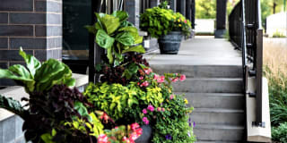 The Murals of LynLake Gallery 6