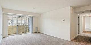 Reserves at Sawmill Gallery 1