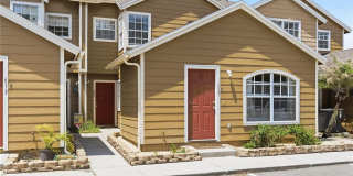 623 COCONUT PALM WAY Gallery 2