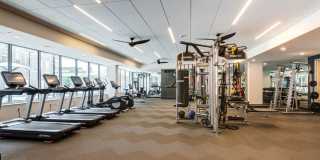 The Fenley Gallery 25