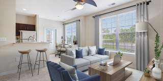 Austin Springs Gallery 15