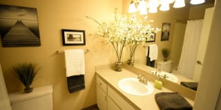 Park at Northgate Apartment Homes Gallery 13